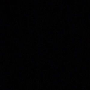 Meet your Posher, Dexter